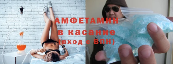 прущие грибы Богородск