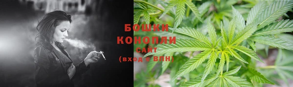 прущие грибы Богородск