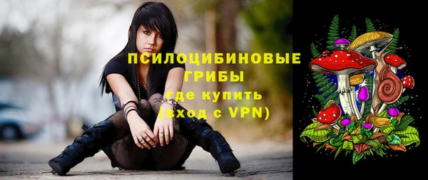 прущие грибы Богородск