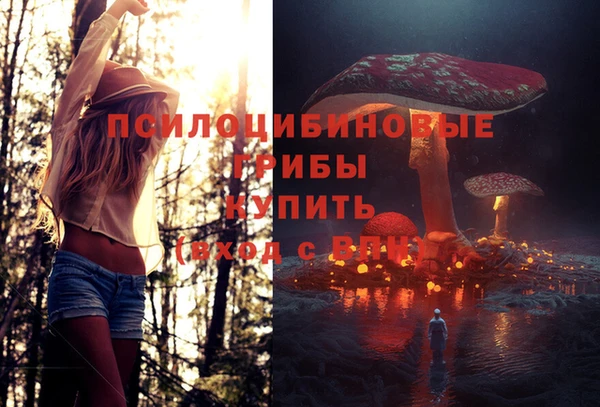 прущие грибы Богородск