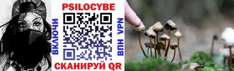 магазин продажи   Верхотурье  Псилоцибиновые грибы Psilocybe 