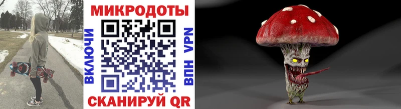 Псилоцибиновые грибы Psilocybe Верхотурье